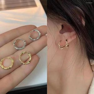 Hoop Earrings 2024 Fashion Silver Color Twisted For Women Shiny Earring Hip Hop Ear Studs Jewelry Accessories