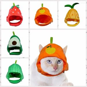 Kattdräkter avokado hatt rolig orange form mjuk huvudbonad bekväm vattenmelon hund cosplay för år fest