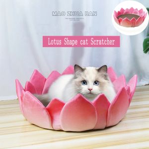 Scratchers Cat Scratcher Lotus Shape Cat Lounge Bed Scratching Pad For Cats Training slipning av klo leksaker möbler skydd husdjur leveranser