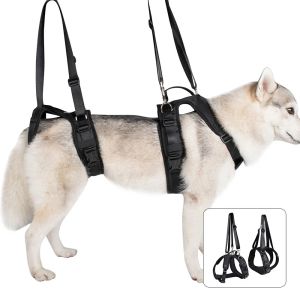 Equipment Adjustable Disabled Sick Dog Front And Back Leg Auxiliary Belt Dog Training Leash Dog Hind Limb Rehabilitation Outdoor Sports