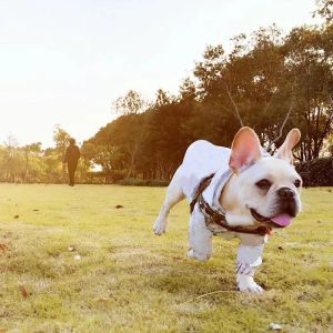 ジャケットフランスのブルドッグパーカー小犬用ペットドッグ服服チワワウィンドブレーカーヨーキーレインコートドッグアクセサリーBR0026