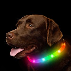 Collari Collare per cani a Led Silicone Taglio libero Usb Ricaricabile per cani Collare luminoso luminoso AntiLost/Incidenti stradali per animali domestici Accessori per cani