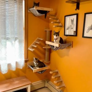 Scratchers Cat Climbing Shelf Montowany na ścianę drzewo kotka cztery stopnie schodowe drewniane drewno słupek do kota meble do wspinaczki.