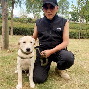 Utrustning husdjursutbildning väst för hanterare män hund utrustning k9 hund arbetsträning leveranser hund antiscratch kläder