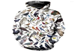 Men039s hoodies pássaros enciclopédia animal impressão 3d moletom com capuz masculino senhoras crianças pullovers casuais 4685697