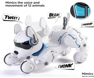 ElectricRc Animals Rc Remote Control Robot Dog Toys With Touch Function And Voice Smart Dancing Imitates Animals Mini Pet Program2084807