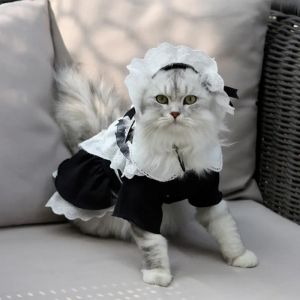 Kläder katt hembiträde klänning och hatt set söt katt förvaring kläder kattunge husdjur cosplay kjol cosplay kostymer katt halloween