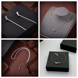 Latest Fashion Hot-selling Necklace Designers Bracelet Chain Necklaces Dainty Zirconia Cut Wristband Jewelry Gifts to Lover Girlfriend Wife Mom Sister
