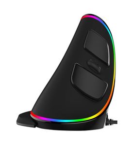 Delux M618 Plus Ergonomic Vertical Mouse WiredWireless Optical Mouse RGBBlue Light Office Gaming Mouse6820935