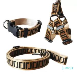 Lyxiga hundhalsar Leases Set Designer Dog Leash Seat Belts Pet Collar and Pets Chain för små medelstora stora hundar Cat Chihuahua Poodle Bulldog Corgi Pug