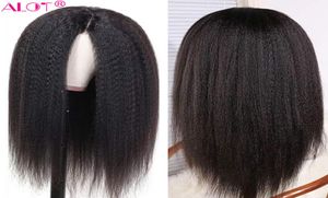 Koronna peruka wstępnie wyrzucona z włosami Brazylian Remy Kinky proste ludzkie peruki włosy Blueless 13x1 koronkowe peruki 180 1028 cali 6024273