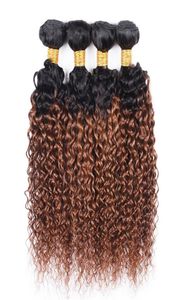 4PCS Human Hair Ombre Weave Bundles Kinky Brazilian Virgin Hair T 1B 30 Dwucie kolor Ombre Medium Auburn Hair Extension7513443