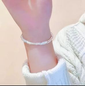 02 Armband Ny kvalitet Klassiska mode Kvinnor smycken Rostfritt stål Öppen manschett dubbel armband armband silver rosguld för gåva