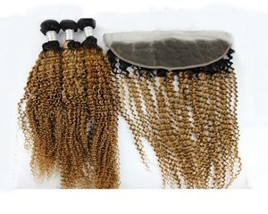 Dilys kinky lockiga brasilianska jungfruliga hårbuntar med frontal färg 1b27 remy inslag mänskliga hårbuntar5430928