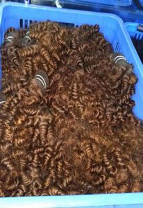 オリジナルのインドの人間の髪のジェリータイトな巻き毛6pcslot未加工織り織りextenionフルセー