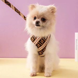 Ny designer Dog Harness Leases Set Classic Letter Mönster Inget draghund Harnises Lätt justerbar supermjuk andningsbar husdjurväst för valpar Små hundar