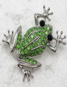 12PCLOlot Whole Crystal Rhinestone Frog Broothes Fashion Costume Pin Brooth Biżuter Prezent C1797953423