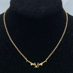 Designer hänge halsband mode smycken guld silver roskedja för män kvinna halsband smycken