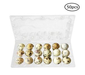 50pcs 121518 그리드 메추라기 계란 카톤 저장 용기 주최자 일회용 PVC 저장 상자 투명한 계란 디스펜서 홀더 U3 C9150303