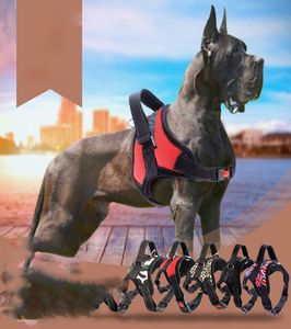 Fashion Pet Harnesses Leashes Outdoor Sports Printed Pets Dog Collar Chain Teddy Corgi Bichon Puppy Supplies3885627