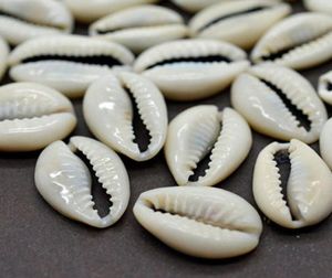 Novelty Items 100PCS Bulk Cut Sea Shell Cowrie Cowry Shells Beach DIY Jewelry Accessories Decor LORS8895452614