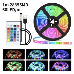 SMD 2835 LED Strip Lights 60leds/M RGB USB 5V مع التحكم عن بُعد الشريط المرن الشريط الصمام الثنائي في غرفة نوم التلفزيون ديكور غرفة الإضاءة الخلفية