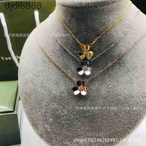 2024 New Designer2024 New Designerfanjia Clover Necklace Lucky Grass Necklace Live Broadcast Jewelry Electroplated True Gold Necklace Minimalist Jewelry