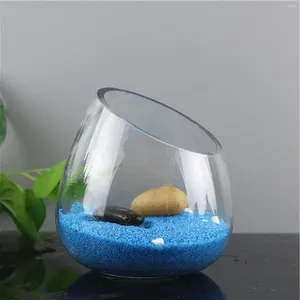 Vases Slant Cut Bowl Glass Vase Plant Micro Landscaping Container Mini Candy Jar Terrarium For Decoration