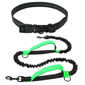 Dog Collars Retractable Hands Free Rope For Running Double Handles Elastic Cord Reflective Large Pet Supplies