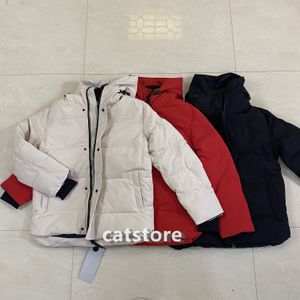 Kvinnor Down Parkas Jackets Parka Hooded Puffer Jacket Casual CottonPadded Clothing Wear Tooling Suits Outdoor Down Jackets Coat Whet Outwears Sammantaget