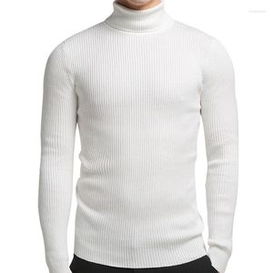 Мужские свитера, модный свитер с воротником, мужской, весенне-осенний, эластичный пуловер с высоким воротником и длинным рукавом, однотонный, повседневный классический мужской