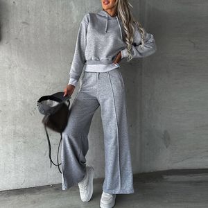 Dwuczęściowe spodnie dla kobiet jesienna patchworka z kapturem Topslong Pants Suit Kobieta swobodna prosta długi rękaw 2 set moda moda stała kolorowy kombinezon sportowy 230831