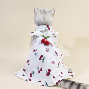 Hundkläder husdjur kläder vår sommar söt klänning katt mode kjol liten söt designer skjorta valp väst chihuahua Yorkshire maltese