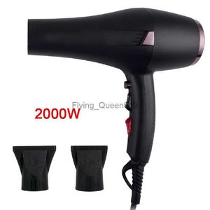 Secador de cabelo elétrico profissional, 2000w, forte potência, vento quente e frio, para salão de beleza, uso doméstico, ferramentas de estilo de cabelo hkd230902