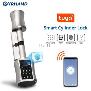 Serrature per porte Tuya Smart Lock Cilindro elettronico Esterno Impermeabile Scanner biometrico per impronte digitali Serrature per porte senza chiave Con app tuya HKD230902