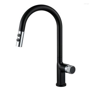 Kitchen Faucets Induction Pull Faucet Cold And Double Control Black Wire Drawing Sink Vegetable Basin