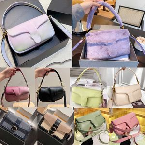 totes bags Designer C's Pillow Tabby Shoulder Bag Women Pure Color Bacchus Bags velvet puffy Retro Hardware Cloudy Handbags Supper Soft Real