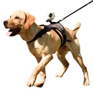 Coleiras para cães, cinto peitoral, montagem de cinto, faixa elástica, traseira para câmera esportiva, acessórios, suporte
