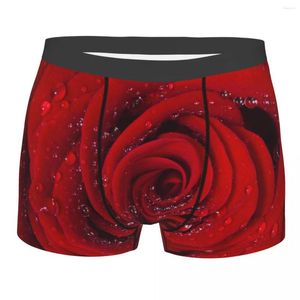 Mutande Mutandine da uomo Boxer Intimo Petali di rosa rossa con gocce di pioggia Pantaloncini maschili sexy