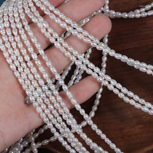 Loose Gemstones 3-3.5mm Threaded Nucleated Small Rice Beads Natural Freshwater Pearls Semi-Finished Diy Handmade Jewelry Materials