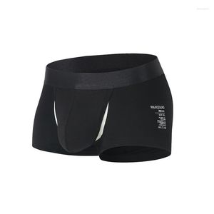 Underpants Fashion Men's Underwear Pants Men Modal Big Pouch Sexy Comfortable Breathable High-Quality Male Homme Briefs Boxers Shorts