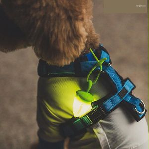 Dog Collars Hazelnut Shaped Silicone Collar Cat LED Glowing Pendants Pets Accessories Luminous Light Night Safety Decoration Supplies