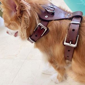 Collari per cani Animali domestici Accessori per cani Pelle di pastore tedesco Pelle di vacchetta Fascia toracica per animali di taglia media e grande Vendita di prodotti