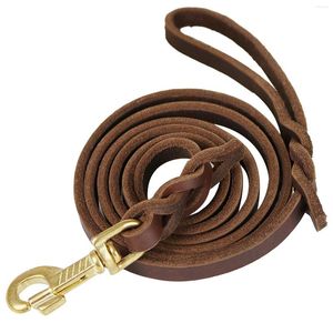 Dog Collars Leash Training Puppy Walking with Carabiner Small Medium Large Handle Strong Outdoor Cowhide Leath