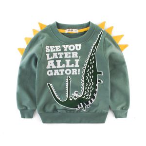 Hoodies Sweatshirts Cartoon Kids 2023 Spring Autumn Clothes Boys Long Sleeve Oneck Pullover Top Outfit 230904