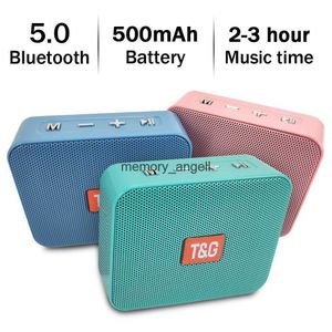 Portabla högtalare TG166 MINI PORTABLE Bluetooth 5.0 Högtalare utomhusvattentät trådlös kolonn Subwoofer Support USB TF-kort Mikrofon Handsfree HKD230904