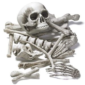 Other Event Party Supplies 19pcs Bones Set Scary Artificial Resin Human Skeletons Broken Bone Skull for Haunted Home Halloween Party Props Decoration 230904