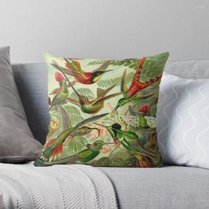 Kudde Colibri - Ernst Haeckel Throw Decorative S For Living Room Christmas Covers