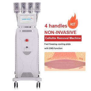 2024 Icke-invasiv RF Emslim Cryo 360 CryolipolyS Plates Criolipolisis Pads Body Sculpting Machine med 4/8 frysplatta kroppsskulptur