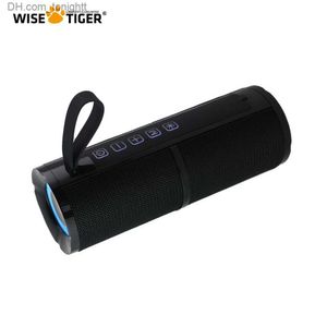 Przenośne głośniki Wise Tiger FM Radio głośnik Bluetooth Bluetooth BT5.3 Przenośny głośnik Bluetooth z RGB Light USB TF Glot